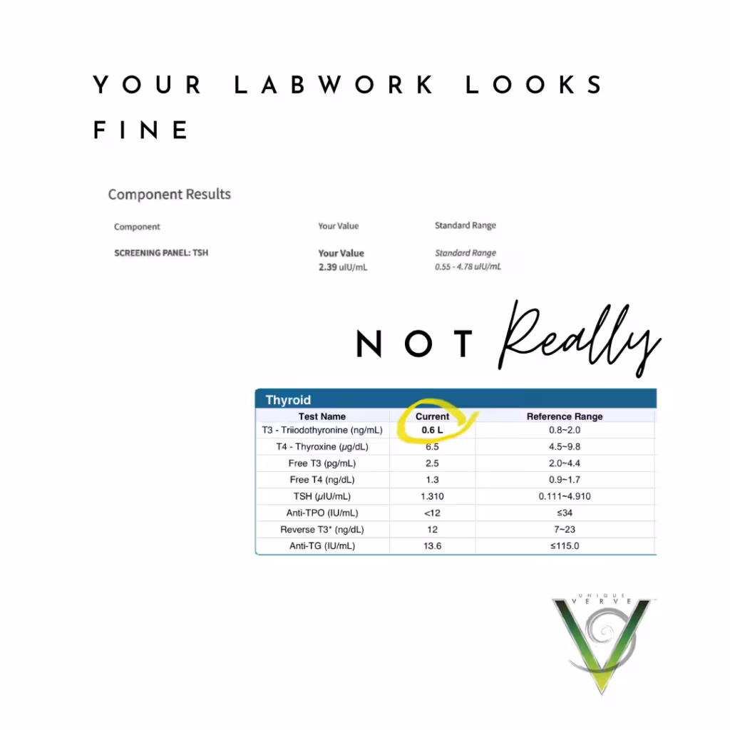 Labwork Review