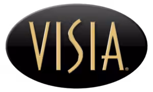 Visia logo gold
