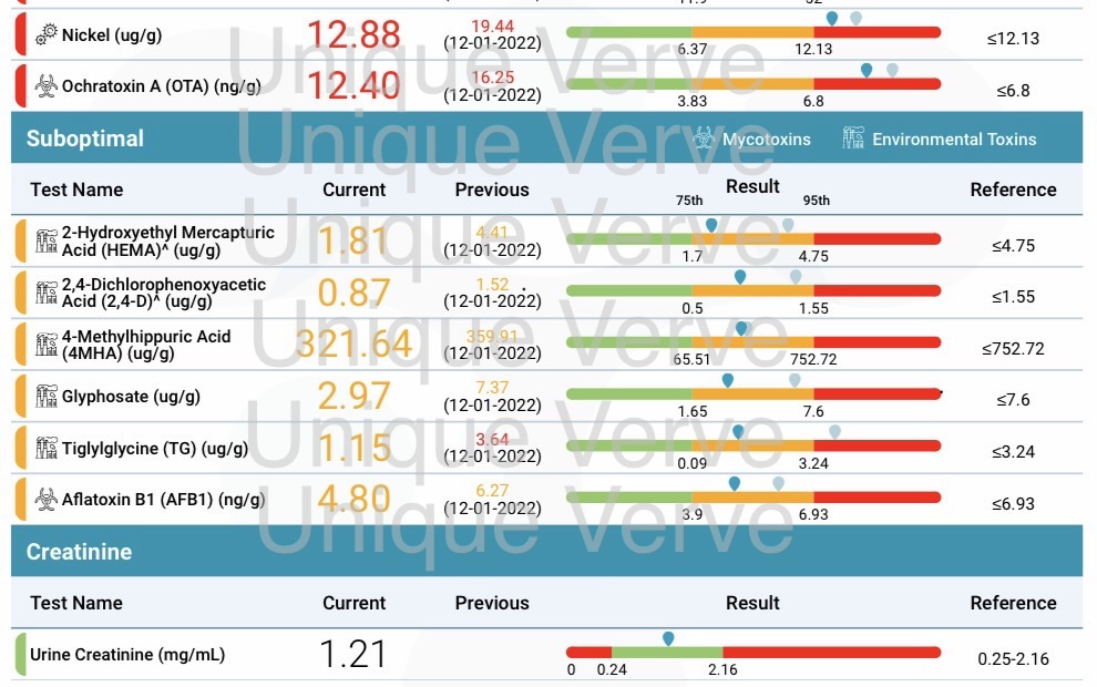 Cellular Functional Medicine Detox for Hyperpigmentation