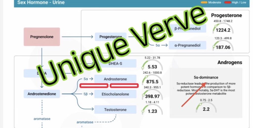 Hormone Zoomer Test Result Showing 5α-DHT Dominance in PCOS Acne