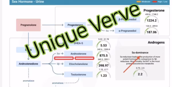 Vibrant Wellness Hormone Zoomer Test - Elevated Androgens, DHT as a Root Cause of PCOS through Functional Medicine Lens