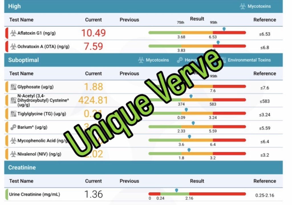 Total Tox Burden test result showing elevated mycotoxins, heavy metals, and environmental toxins contributing to metabolic disruption and insulin resistance in a female client.