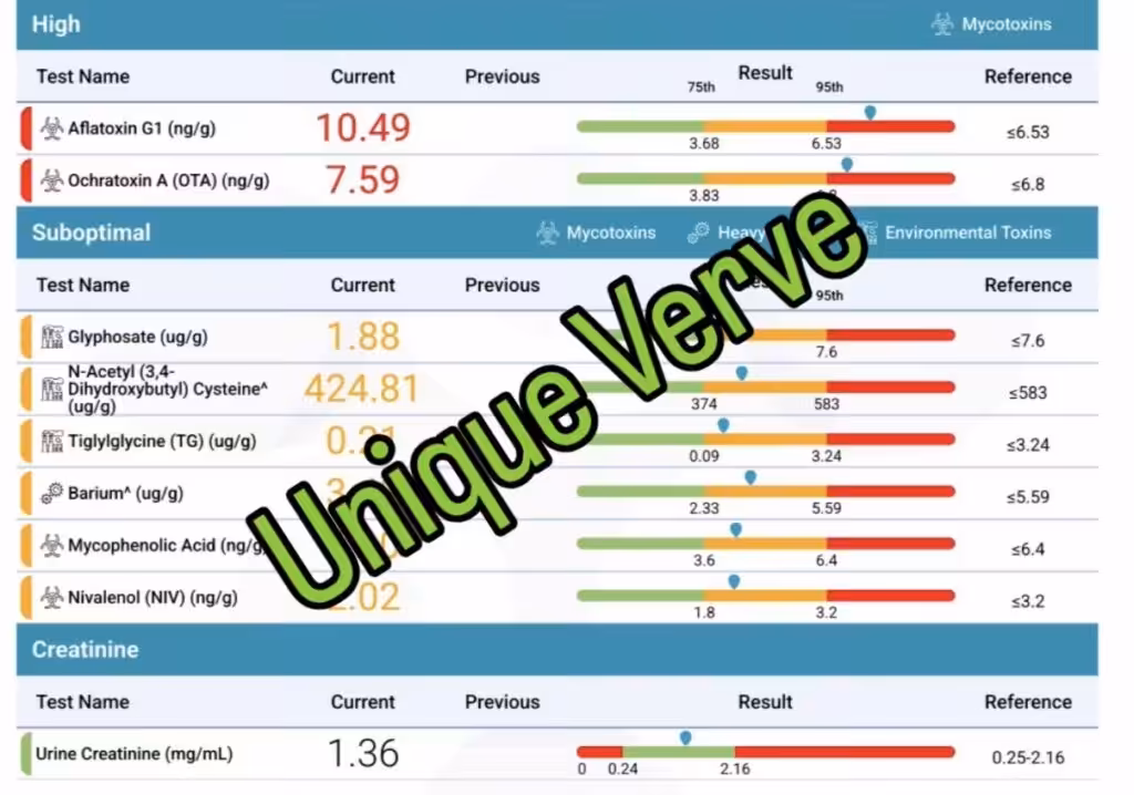 Total Tox Burden Test Showing Environmental Toxins in PCOS Acne Client