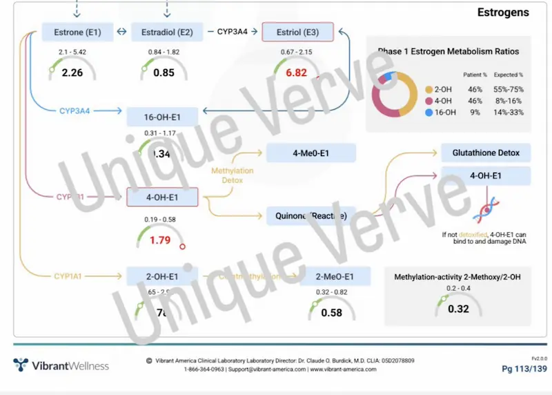 Vibrant Wellness urinary hormone test result showing elevated E3 and high 4-OH-E1 estrogen metabolism pathway associated with rosacea and estrogen dominance