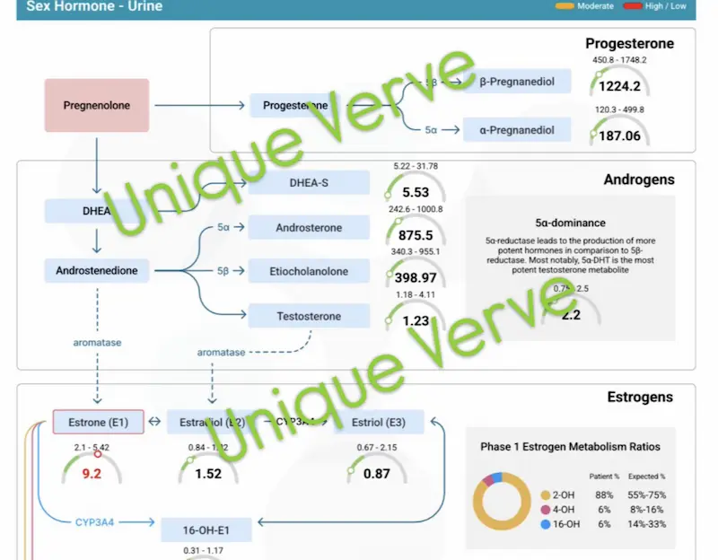 Vibrant Wellness Hormone Zoomer lab result showing high estrone E1 and elevated 5-alpha androsterone in perimenopausal rosacea patient