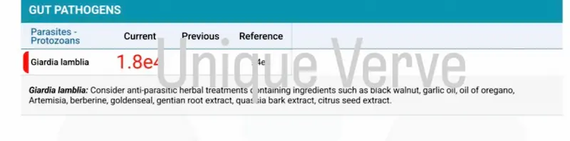 Vibrant Wellness Gut Zoomer lab results showing high parasites levels in rosacea patient