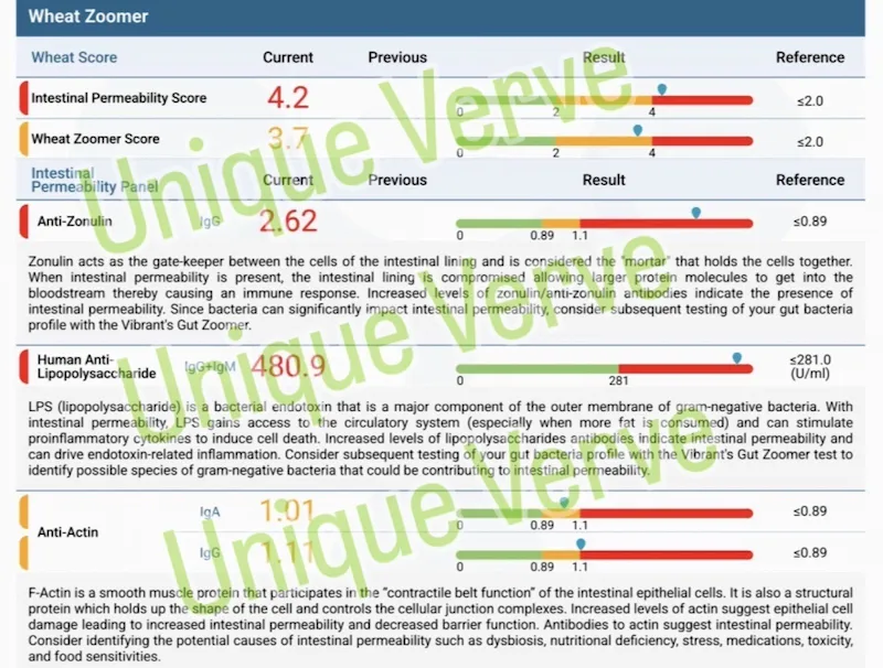 Vibrant Wellness Wheat Zoomer test result showing elevated intestinal permeability, high anti-zonulin, and extremely high LPS at 480.09 confirming leaky gut syndrome