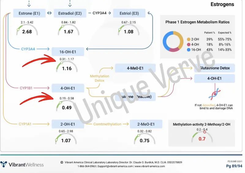 Vibrant Wellness Hormone Zoomer lab result showing normal circulating estrogen levels with elevated 16-OH-E1 and 4-OH-E1 metabolites and low 2-OH pathway indicating poor estrogen clearance and impaired methylation activity