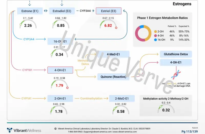 Vibrant Wellness Hormone Zoomer lab result showing elevated E3 and high 4-OH-E1 estrogen metabolite indicating poor estrogen clearance and DNA-damaging pathway preference