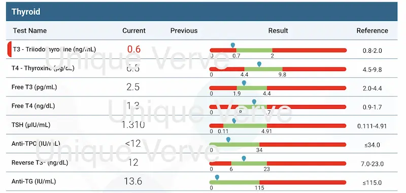 Full thyroid panel lab results showing T3 at 0.6 below reference range 0.8 to 2.0 and suboptimal free T3 at 2.5 functional medicine heart palpitations case