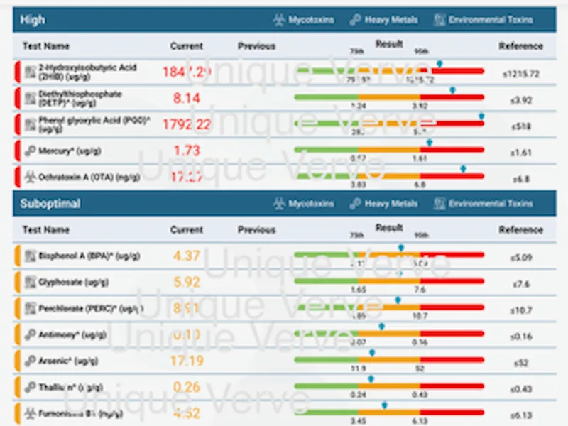 Total Tox Burden lab results showing high mercury moderately high antimony arsenic thallium ochratoxin A mycotoxin and elevated environmental toxins BPA glyphosate PERC functional medicine heart palpitations case